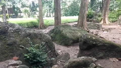 Natural Scenery with Large Rocks Stock Footage 329242369