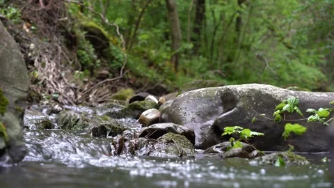 Natural scenery, a mountain stream. Clean spring water from the high hills. Vidéo 334398563