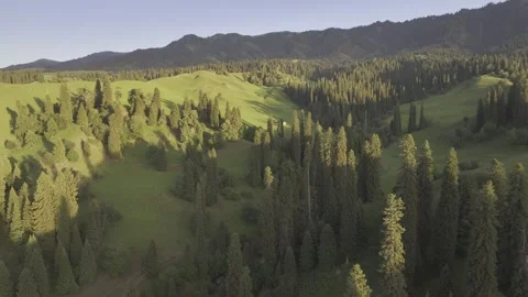 Natural Scenery of Mountains and Forests ,Nalati Grassland, Ili, Xinjiang,china Video stock 307285809