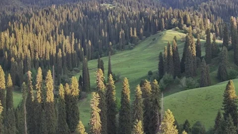 Natural Scenery of Mountains and Forests ,Nalati Grassland, Ili, Xinjiang,china Stock Footage 307285810