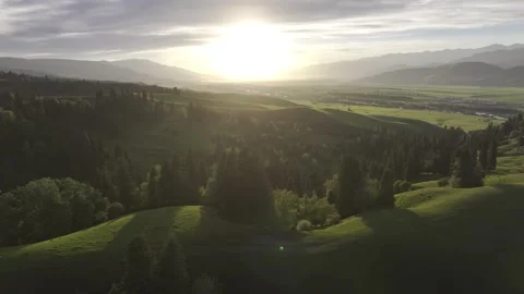 Natural Scenery of Mountains and Forests ,Nalati Grassland, Ili, Xinjiang,china Vidéo 307285853