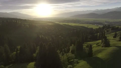 Natural Scenery of Mountains and Forests ,Nalati Grassland, Ili, Xinjiang,china Stock Footage 307286101