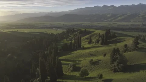 Natural Scenery of Mountains and Forests ,Nalati Grassland, Ili, Xinjiang,china Stock-Footage 307286191