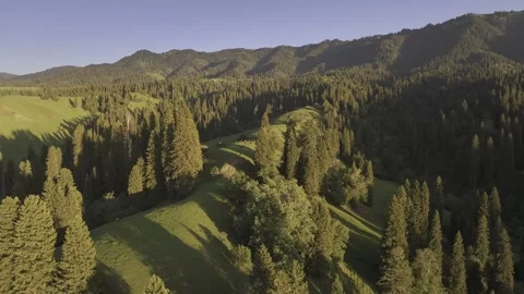 Natural Scenery of Mountains and Forests ,Nalati Grassland, Ili, Xinjiang,china Stock Footage 307286341