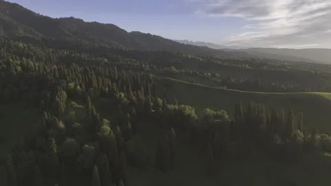 Natural Scenery of Mountains and Forests ,Nalati Grassland, Ili, Xinjiang,china Stock Footage 307286853
