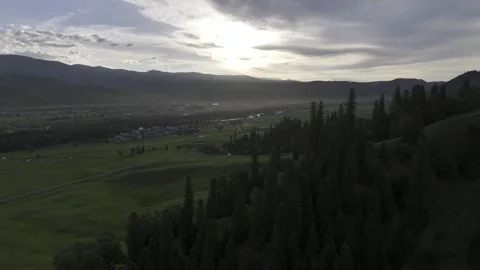 Natural Scenery of Mountains and Forests ,Nalati Grassland, Ili, Xinjiang,china 動画素材 307287736