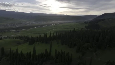 Natural Scenery of Mountains and Forests ,Nalati Grassland, Ili, Xinjiang,china Stock Footage 307287771