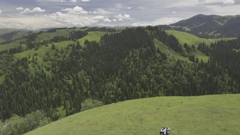Natural Scenery of Mountains and Forests ,Nalati Grassland, Ili, Xinjiang,china Stock Footage 307287792