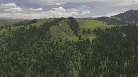 Natural Scenery of Mountains and Forests ,Nalati Grassland, Ili, Xinjiang,china Vídeo Stock 307287793