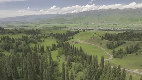 Natural Scenery of Mountains and Forests ,Nalati Grassland, Ili, Xinjiang,china Stock Footage 307287936