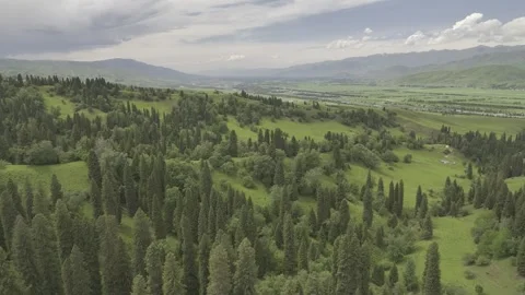 Natural Scenery of Mountains and Forests ,Nalati Grassland, Ili, Xinjiang,china 库存影片 307287946