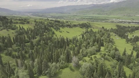 Natural Scenery of Mountains and Forests ,Nalati Grassland, Ili, Xinjiang,china Vidéo 307287963
