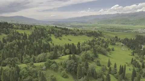 Natural Scenery of Mountains and Forests ,Nalati Grassland, Ili, Xinjiang,china Vidéo 307287975