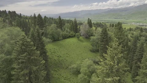 Natural Scenery of Mountains and Forests ,Nalati Grassland, Ili, Xinjiang,china Vidéo 307287986