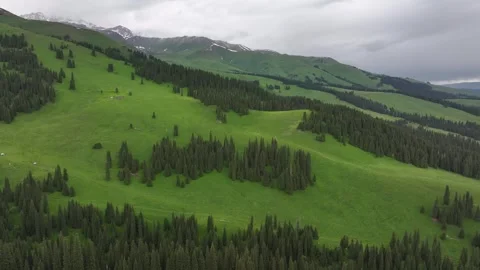 Natural Scenery of Mountains and Forests ,Nalati Grassland, Ili, Xinjiang,china Stock Footage 307288116