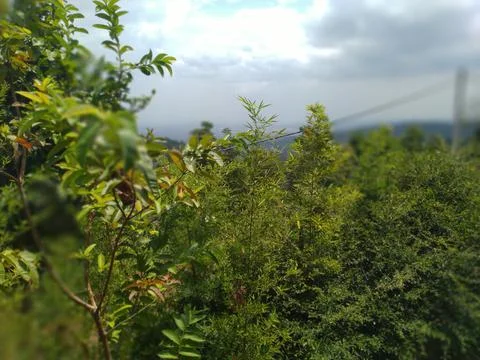 Natural scenery Stock Photos