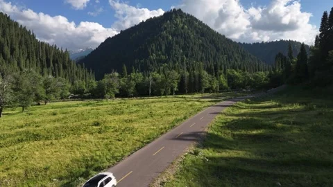 Natural scenery of snow capped grassland forest in Kurdning, Ili, Xinjiang china Stock Footage 307267635
