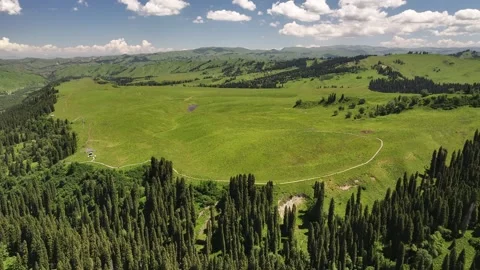 Natural scenery of snow capped grassland forest in Kurdning, Ili, Xinjiang china Stock Footage 307275553