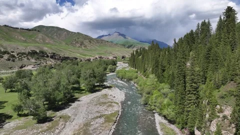 Natural scenery of snow capped mountains and grassland in Ili, Xinjiang China Stock Footage 307284819