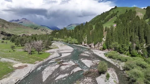 Natural scenery of snow capped mountains and grassland in Ili, Xinjiang China Stock Footage 307285239