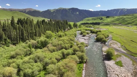 Natural scenery of snow capped mountains and grassland in Ili, Xinjiang China Stock Footage 307285251