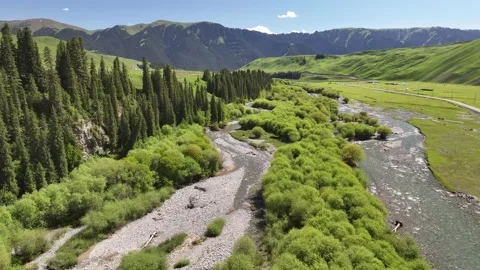 Natural scenery of snow capped mountains and grassland in Ili, Xinjiang China Stock-Footage 307285252
