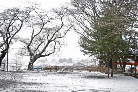 Natural scenery in the snow Stock Photos