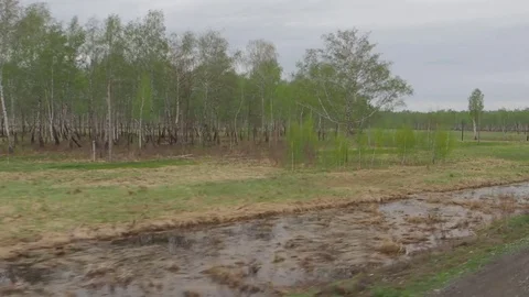 Natural scenery from the train in daylight Stock Footage 75602017