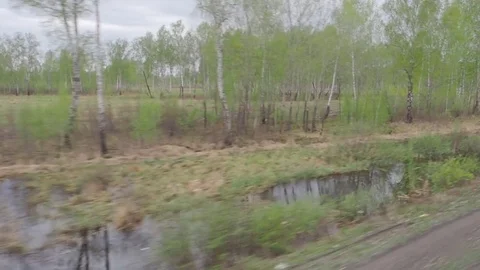 Natural scenery from the train in daylight Stock Footage 75602433