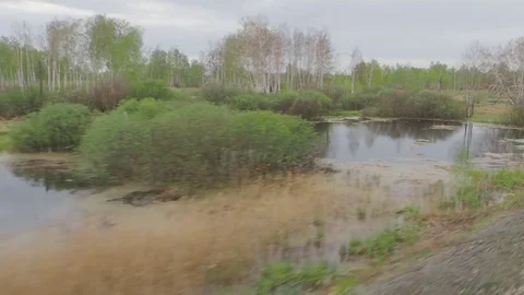 Natural scenery from the train in daylight Stock Footage 75602613