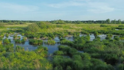 Natural scenery from the train in daylight Stock Footage 77202845