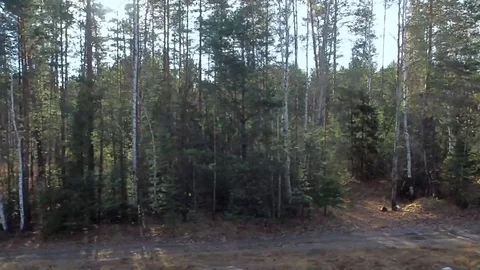 Natural scenery from the train in daylight Video stock 81847218
