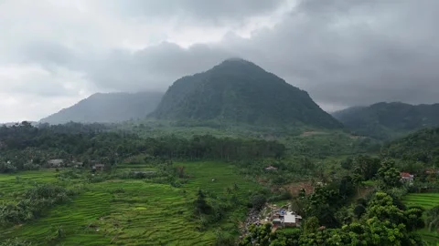 Natural scenery in the village Stock Footage 263436853