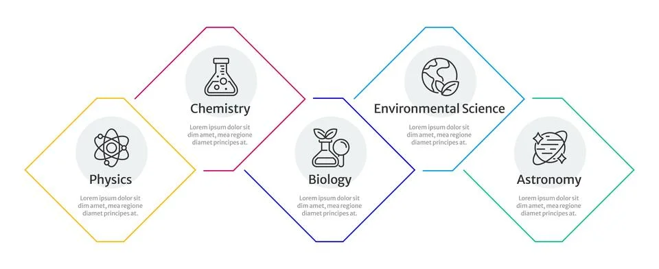 Natural sciences infographic 5 steps Illustrazione stock