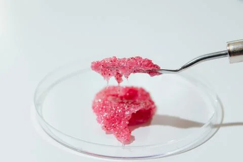 Natural Scrub with Heating Effect in Laboratory Petri Dish with metal Spatula Stock Photos