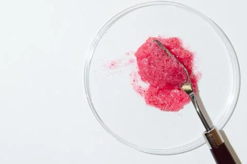 Natural Scrub with Heating Effect in Laboratory Petri Dish with metal Spatula Stock Photos