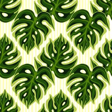 Natural seamless pattern with green monstera elements doodle print. Isolated  스톡 일러스트