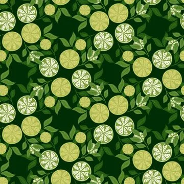 Natural seamless pattern with summer time line slices print. Green colors. Le Stock Illustration
