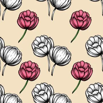 Natural seamless pattern with tender peony pink ink flowers hand drawn Stock Illustration