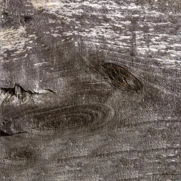 Natural section of the tree trunk of gray color Stock Photos