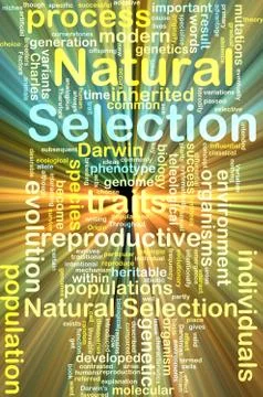Natural selection wordcloud concept illustration glowing Stock Illustration