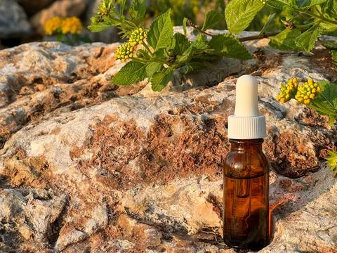 The natural serum in a dark bottle stands next to the plant with yellow flowers Stock Photos