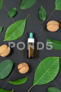 Natural Serums. Cosmetic and therapeutic walnut oil on black background. Stock Photos