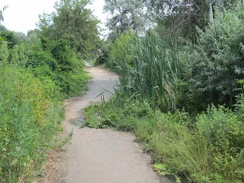 A natural setting with a path, lush greenery, body of water pond stream, un.. Stock Photos