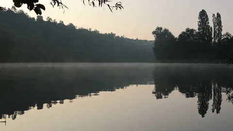 Natural setting of vegetation Stock Footage 152018640