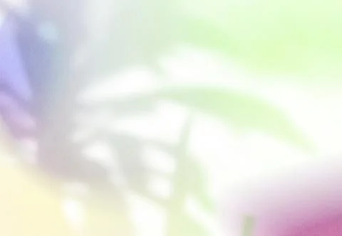 Natural shadow overlay on abstract gradient colorful background with grainy t Foto stock