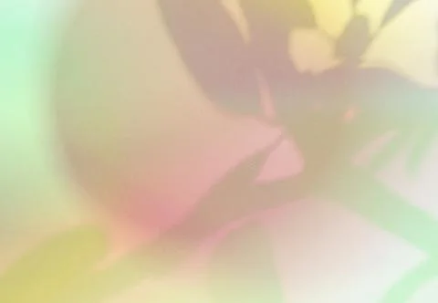 Natural shadow overlay on abstract gradient colorful background with grainy t Foto stock