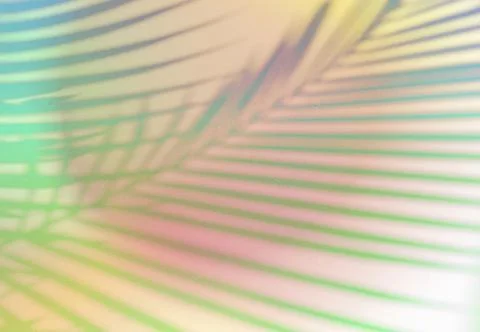 Natural shadow overlay on abstract gradient colorful background with grainy t Foto stock