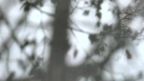 Natural shadows overlay on white texture of frosted glass background. Abstract. Stock Footage 275273662