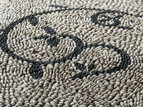 Natural shell pattern with swirling design in outdoor setting, ideal as abs.. Stock Photos